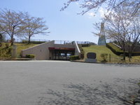 Medium_1 273